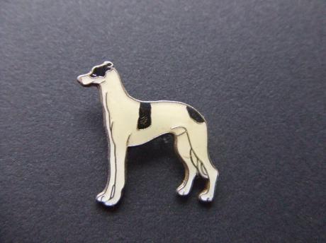 Rashond Greyhound
